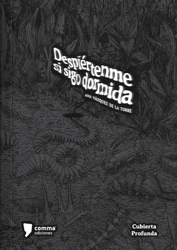 Despiértenme si sigo dormida | Ana Vázquez de la Torre