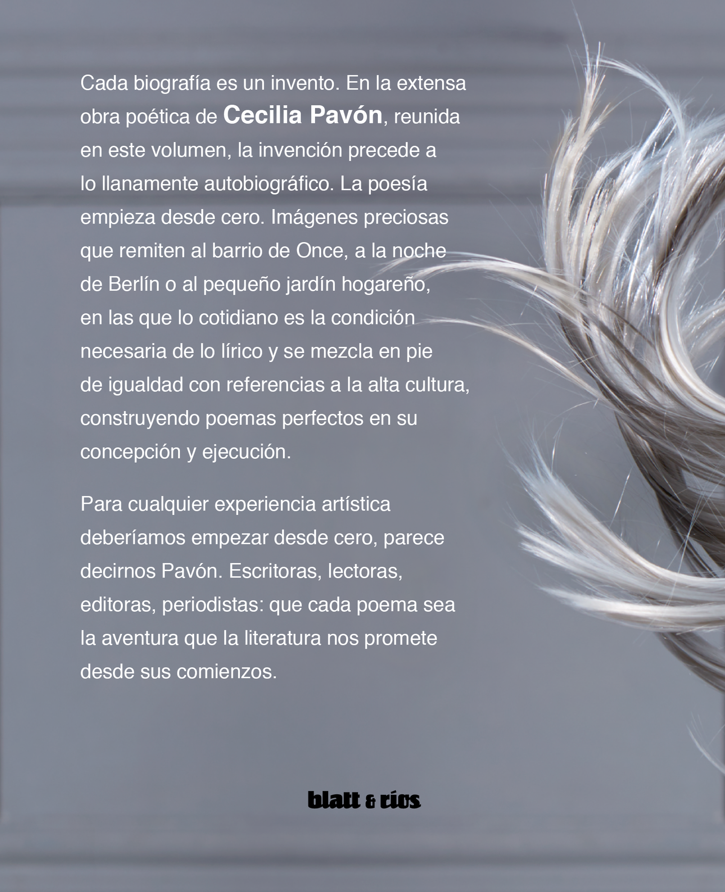 Diario de una persona inventada | Cecilia Pavón