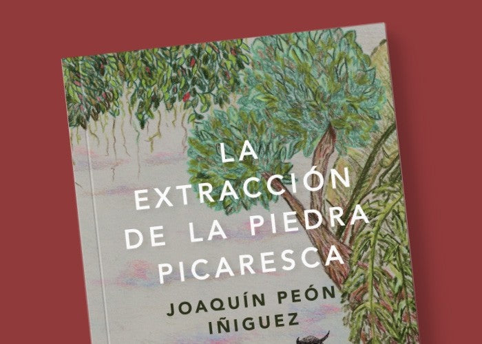 La extracción de la piedra picaresca | Joaquín Peón Íñiguez