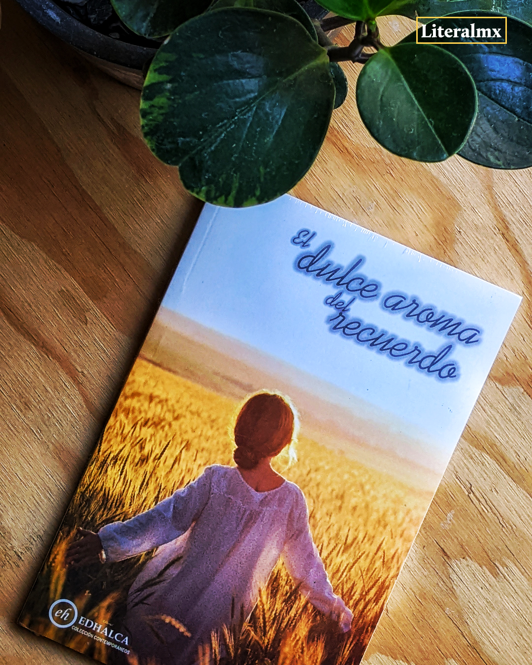 El dulce aroma del recuerdo | Elizabeth Vivero