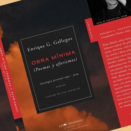 Obra mínima. (Poemas y aforismos) | Enrique G. Gallegos