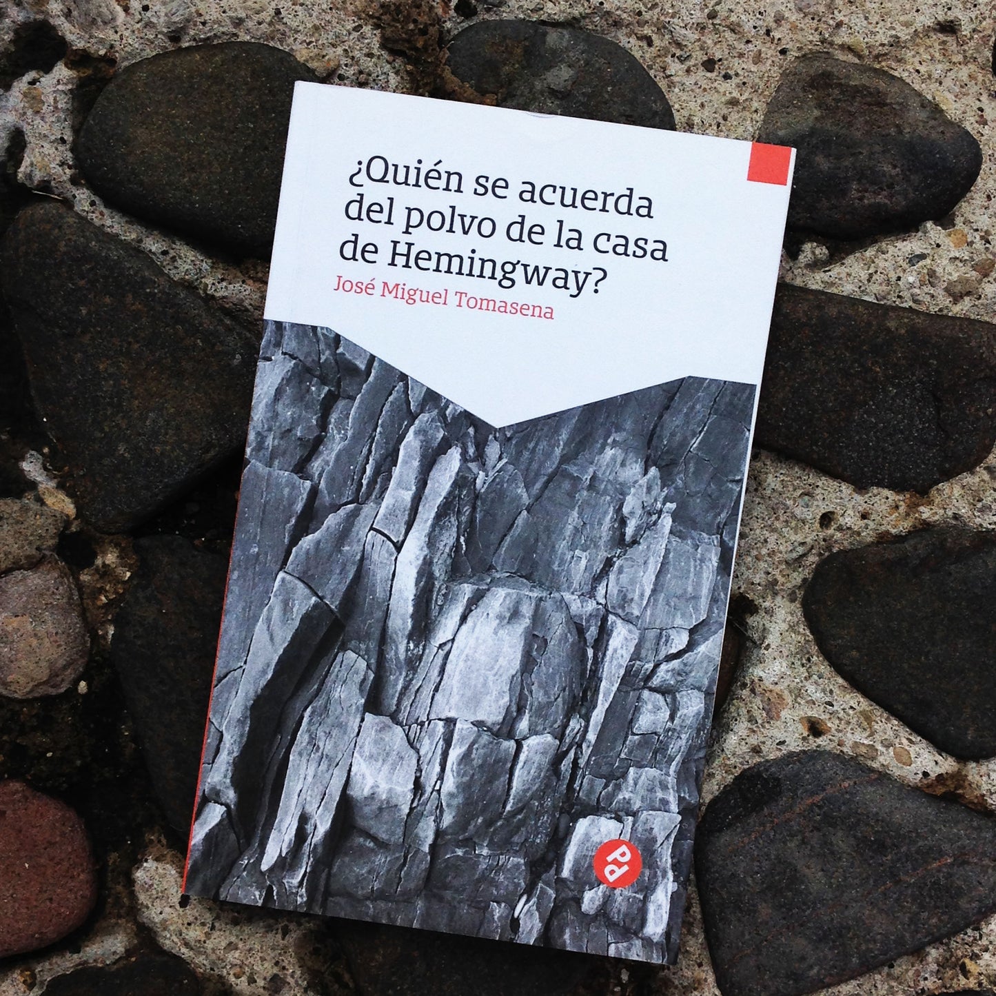 ¿Quién se acuerda del polvo de la casa de Hemingway? | José Miguel Tomasena
