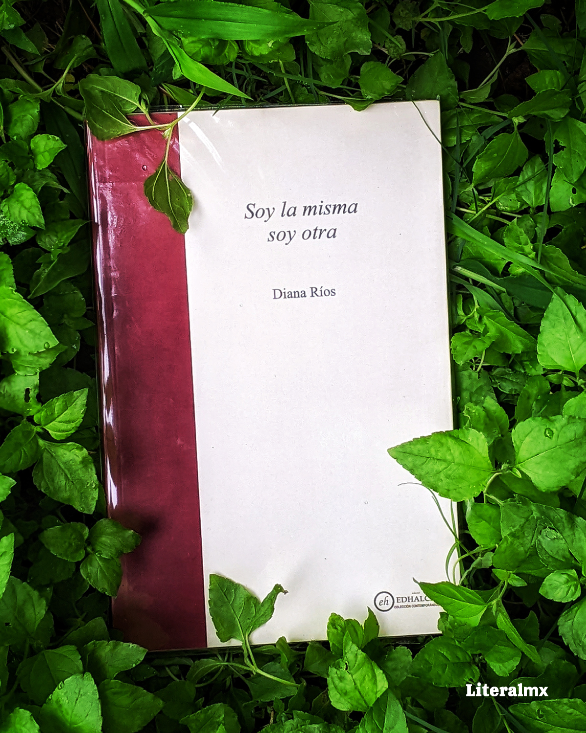 Soy la misma soy otra | Diana Ríos