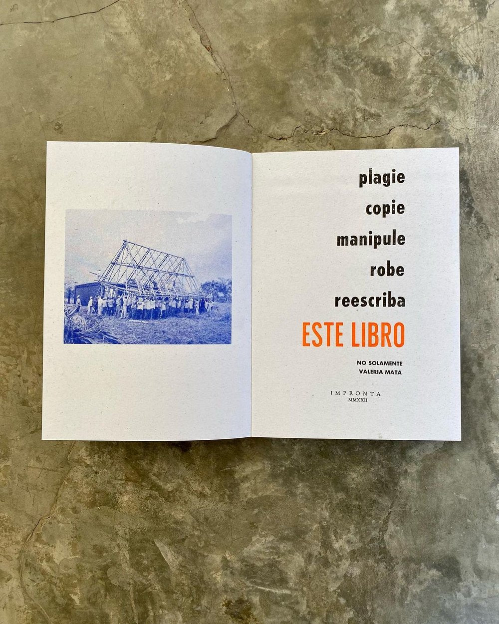 «plagie copie manipule robe reescriba este libro» | No solamente Valeria Mata