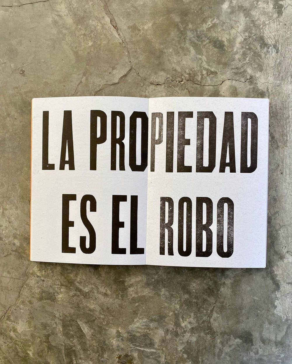 «plagie copie manipule robe reescriba este libro» | No solamente Valeria Mata