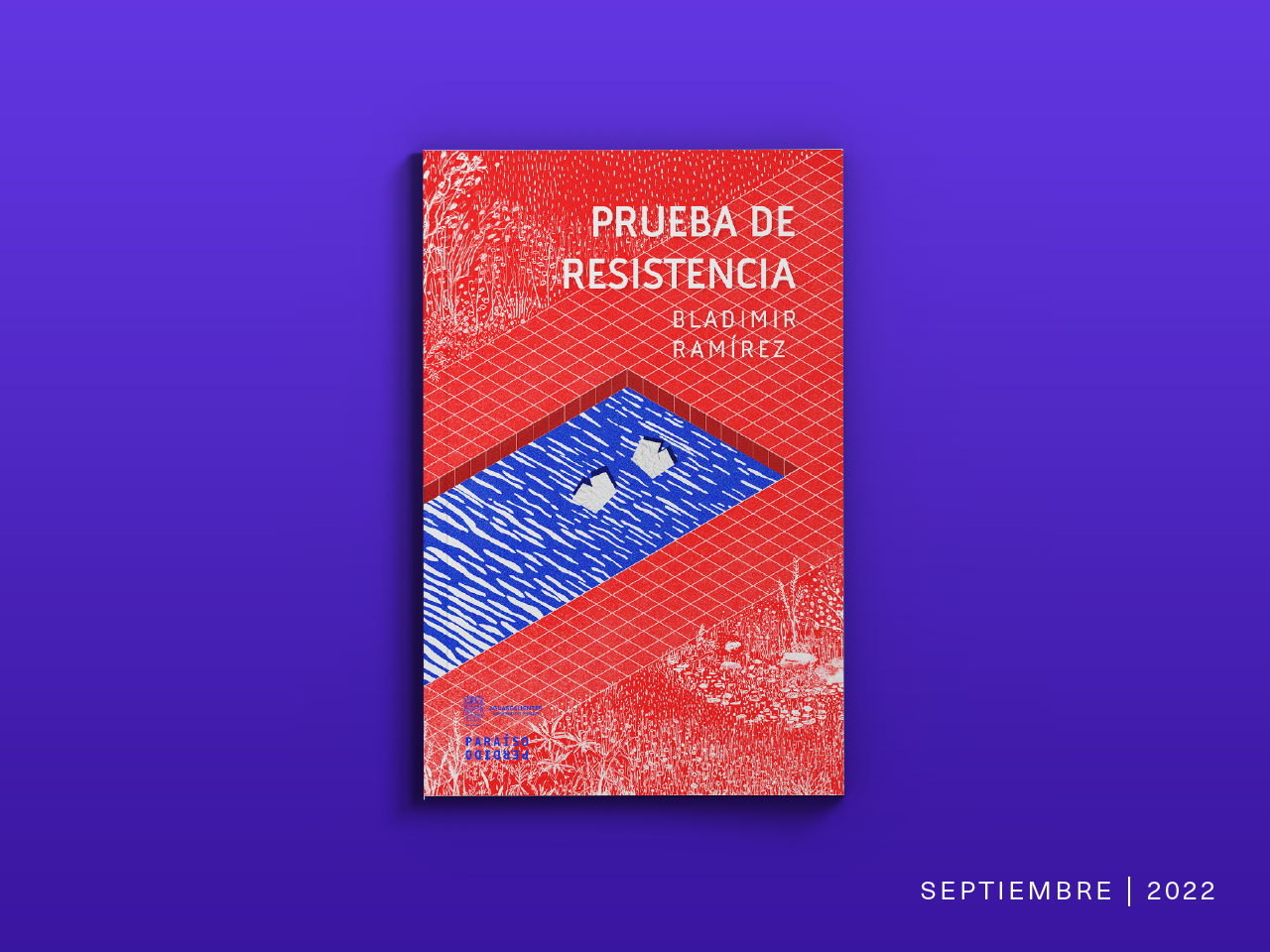 Prueba de resistencia | Bladimir Ramírez