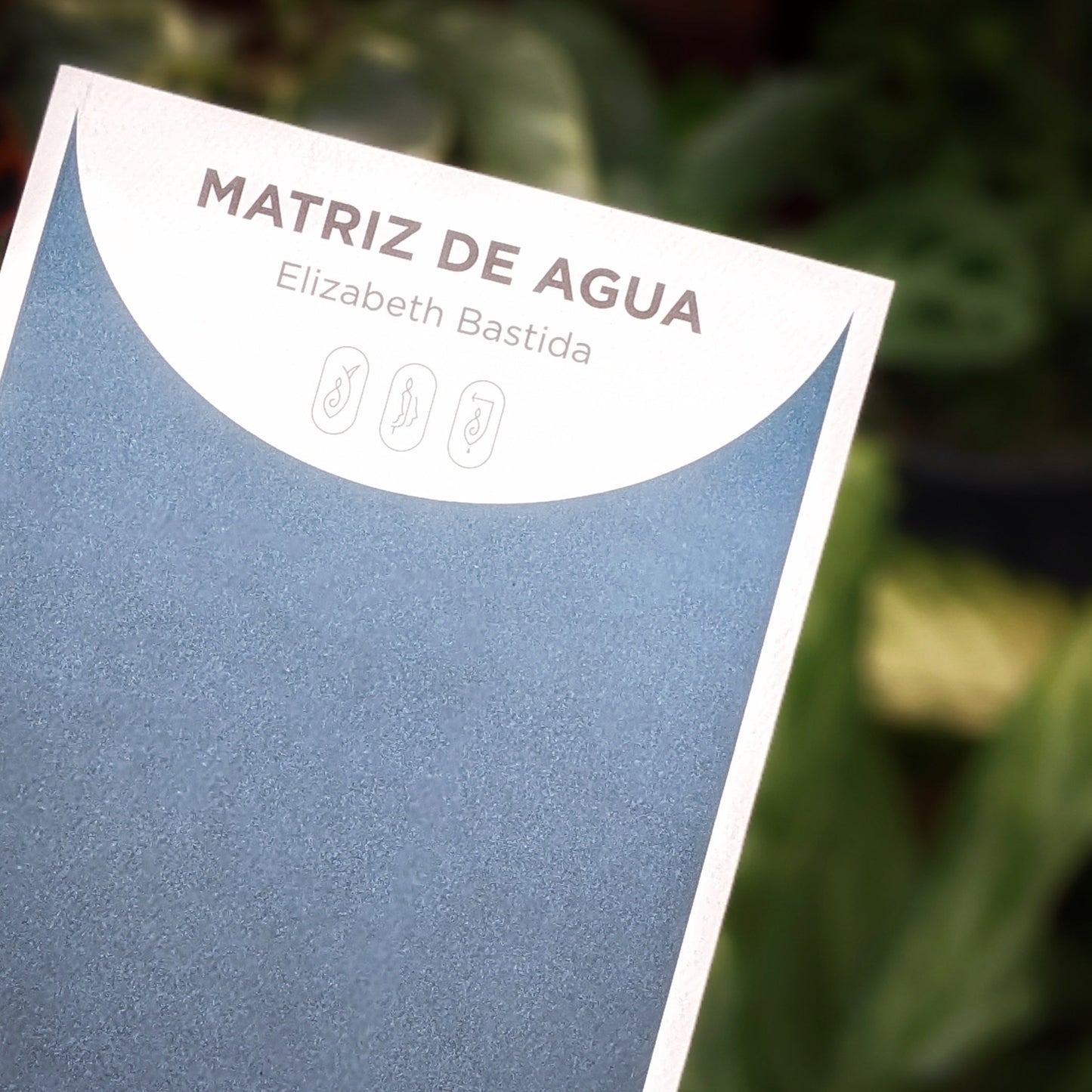 Matriz de agua | Elizabeth Bastida
