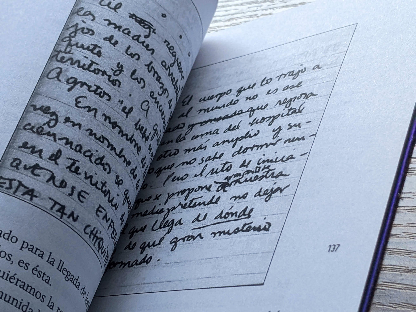 Maneras de escribir y ser / no ser madre | Antología
