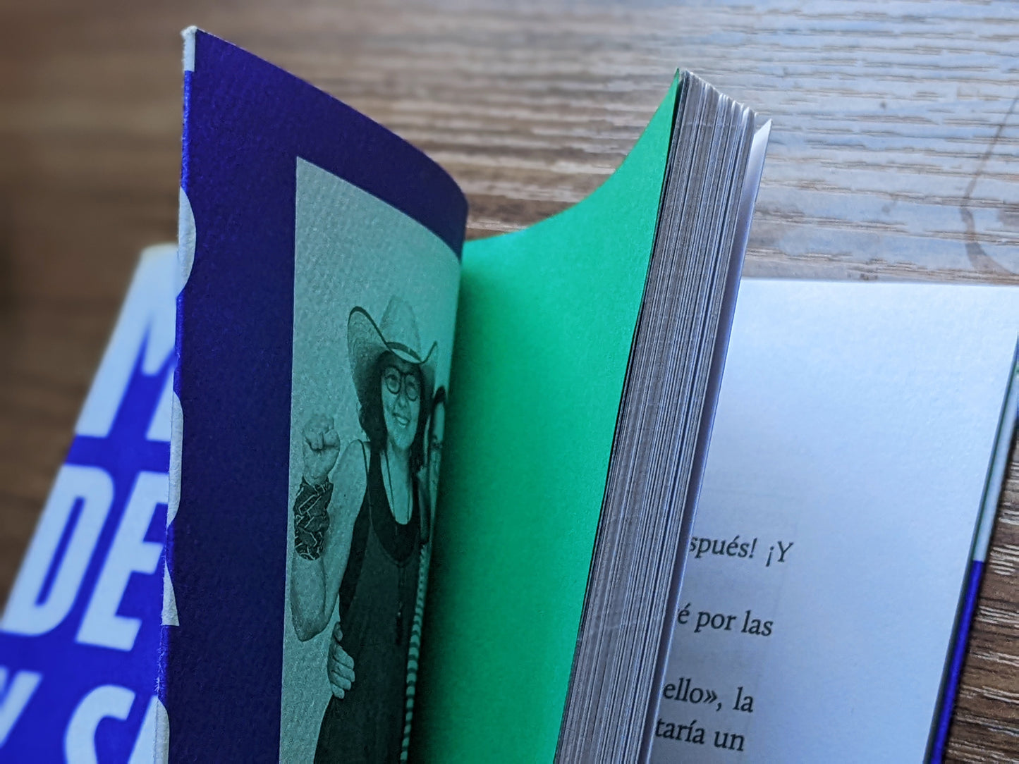 Maneras de escribir y ser / no ser madre | Antología