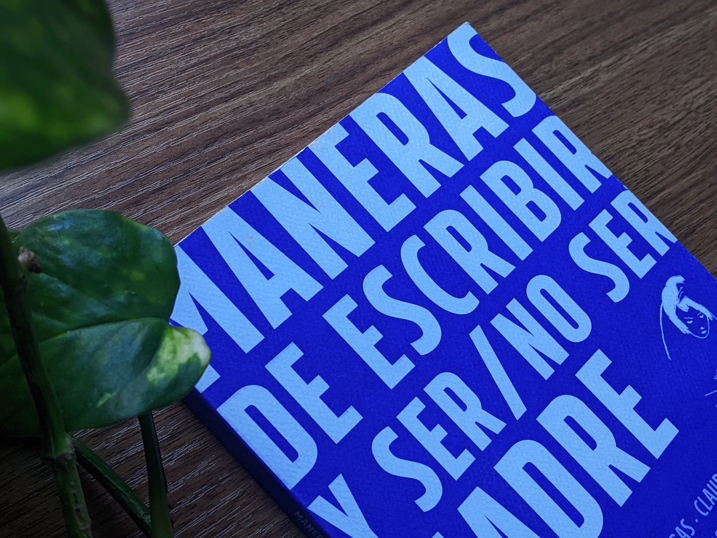 Maneras de escribir y ser / no ser madre | Antología