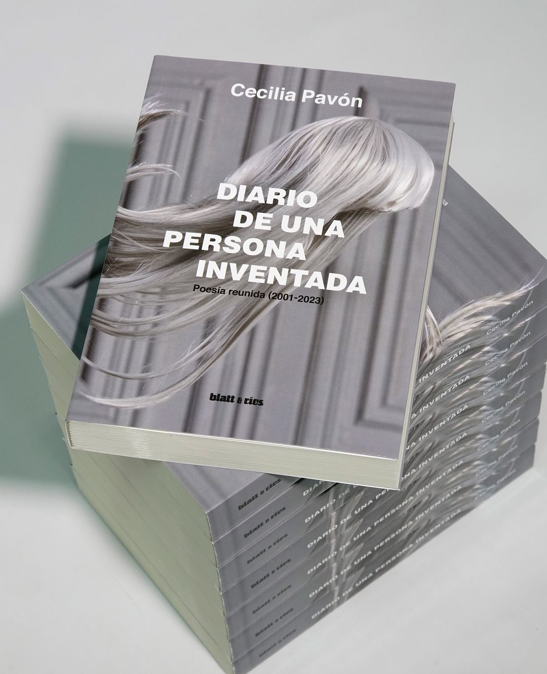 Diario de una persona inventada | Cecilia Pavón