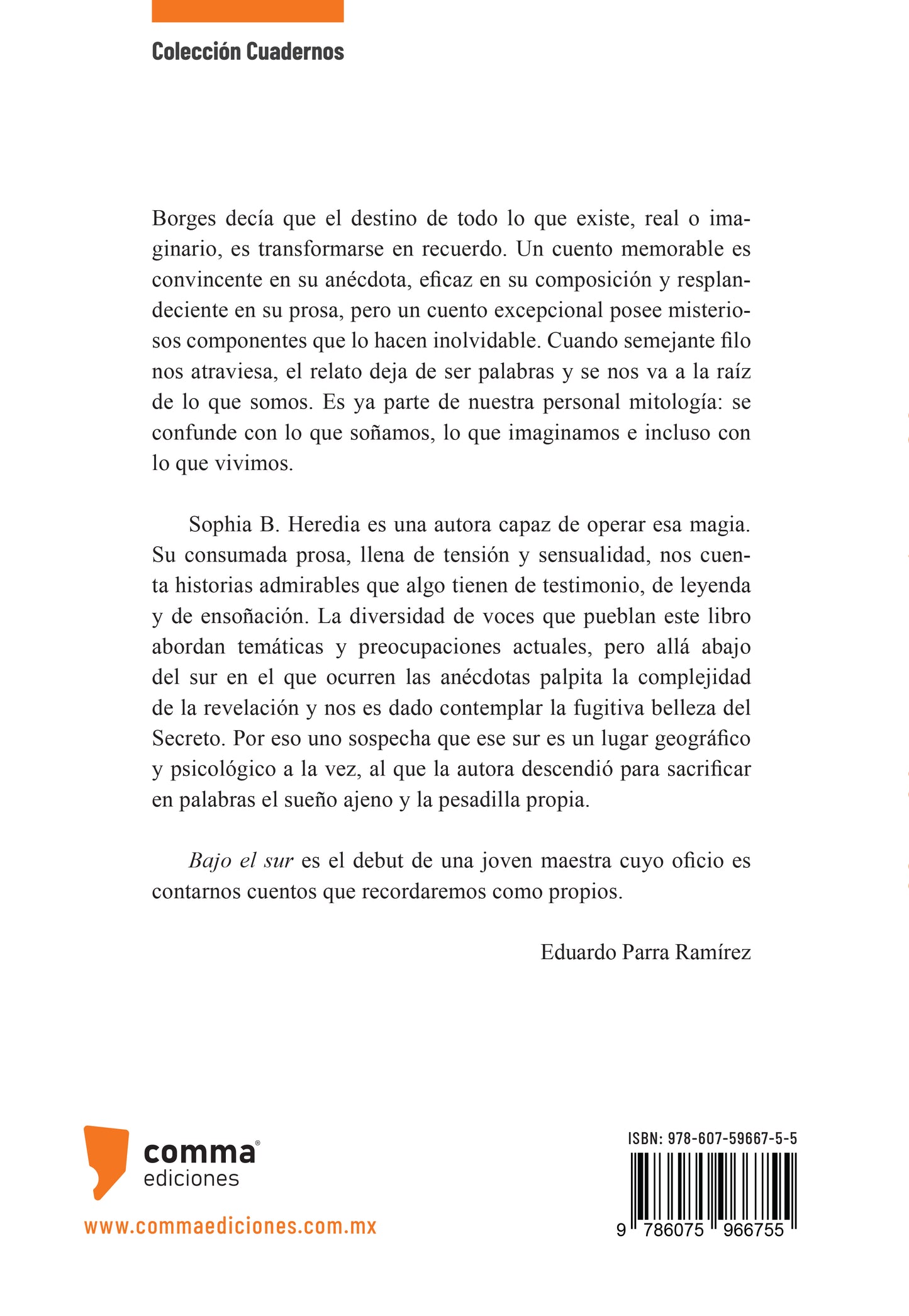 Bajo el sur | Sophia B. Heredia