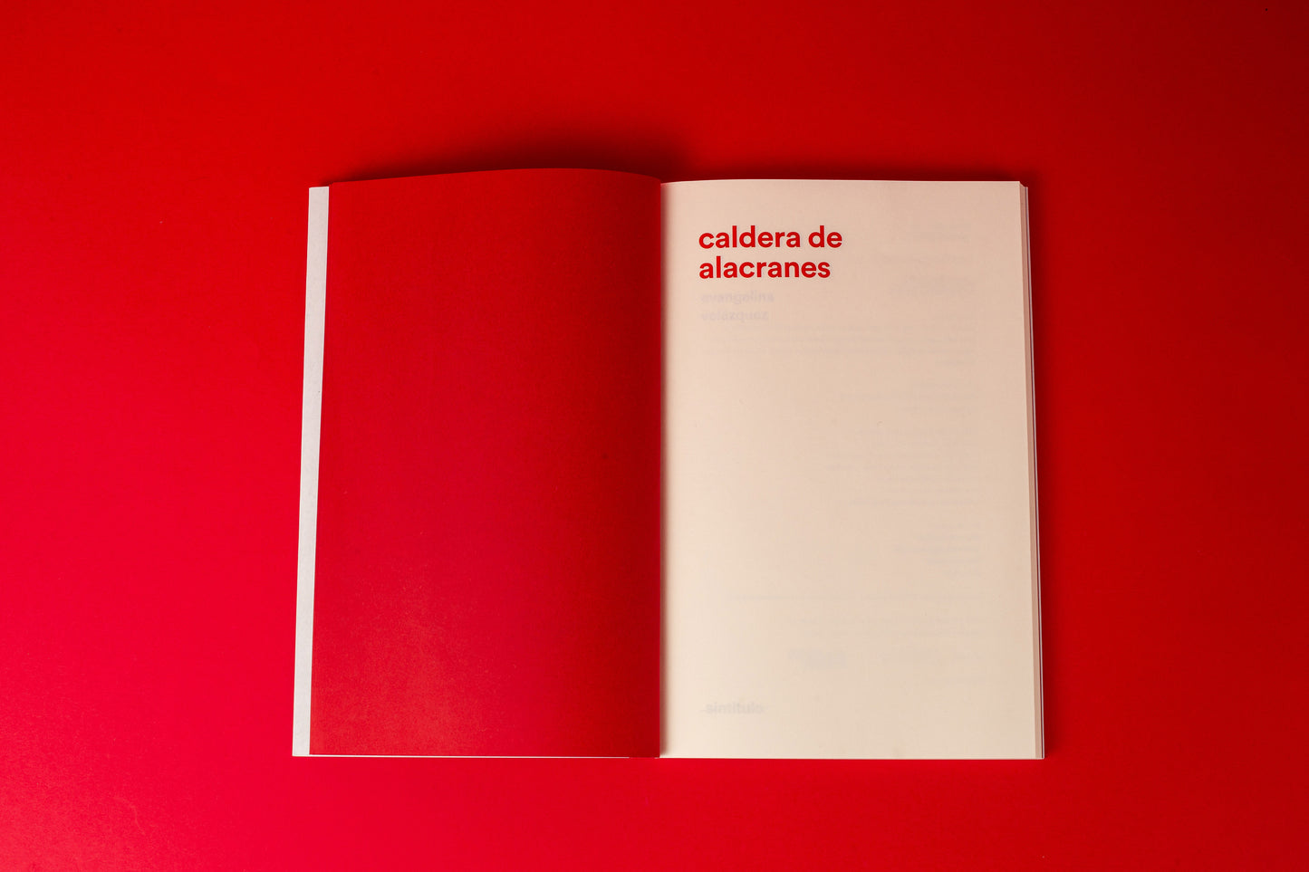 Caldera de Alacranes | Evangelina Velázquez