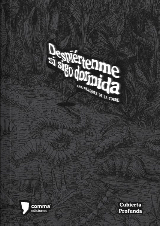 Despiértenme si sigo dormida | Ana Vázquez de la Torre