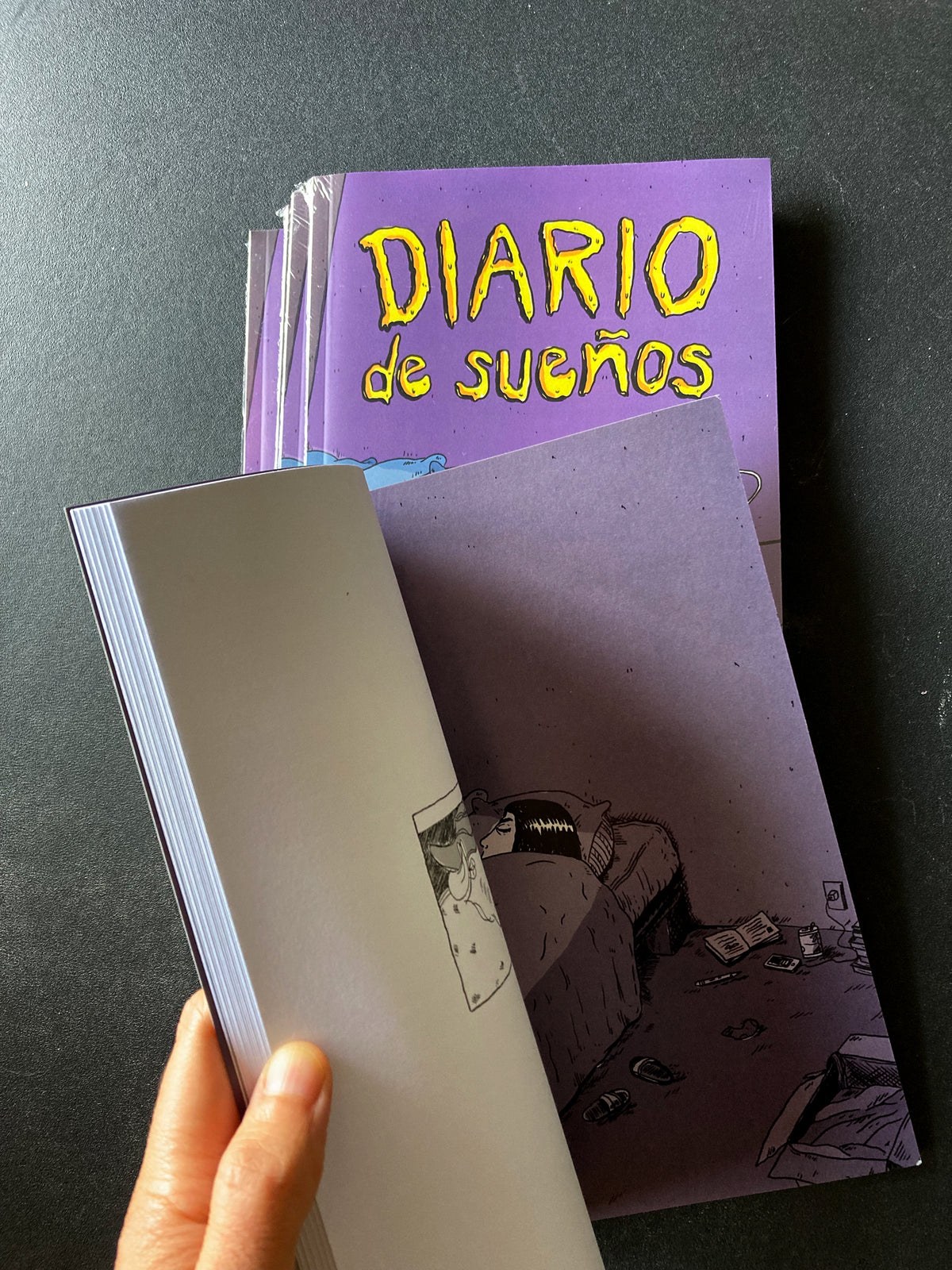 Diario de sueños | Carolina Ibáñez