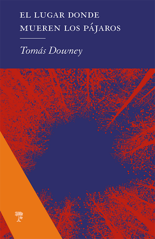 El lugar donde mueren los pájaros | Tomás Downey