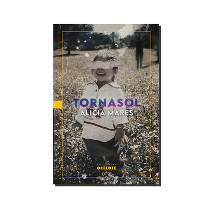 Tornasol | Alicia Mares