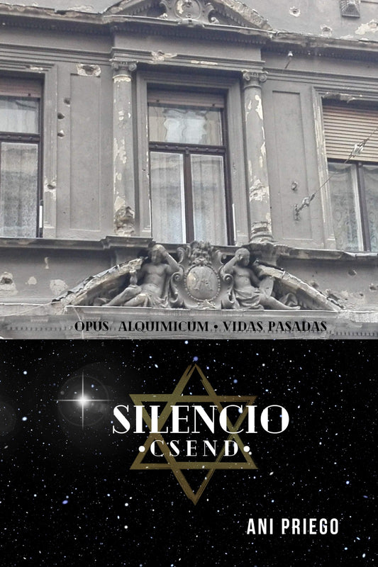Silencio | Ani Priego