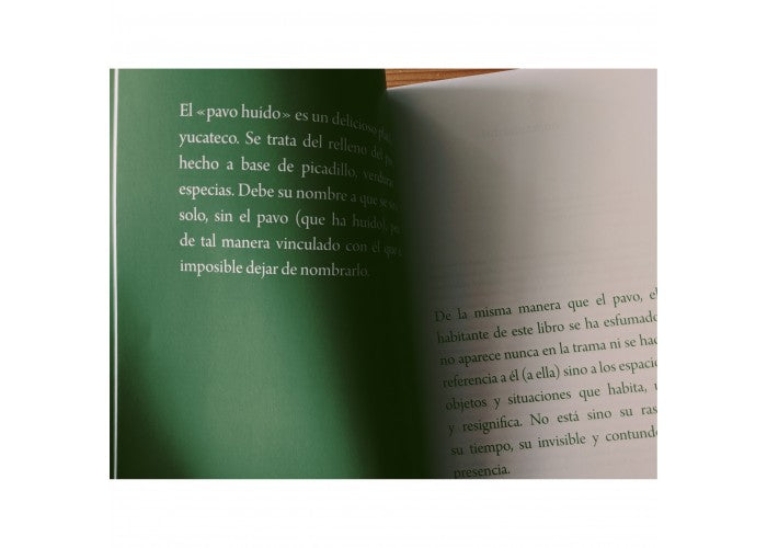 El habitante | Carmen Villoro