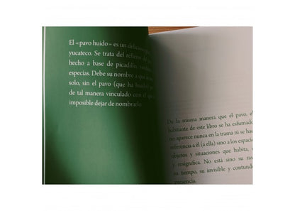 El habitante | Carmen Villoro