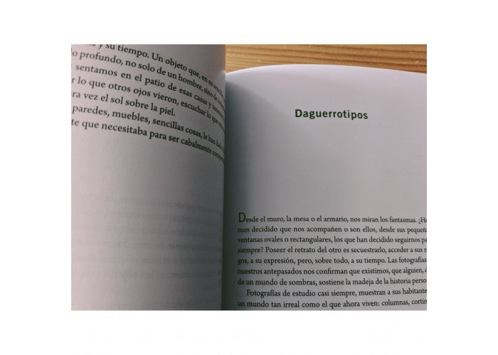 El habitante | Carmen Villoro