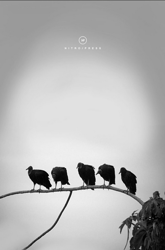 Basura | Sylvia Aguilar Zéleny
