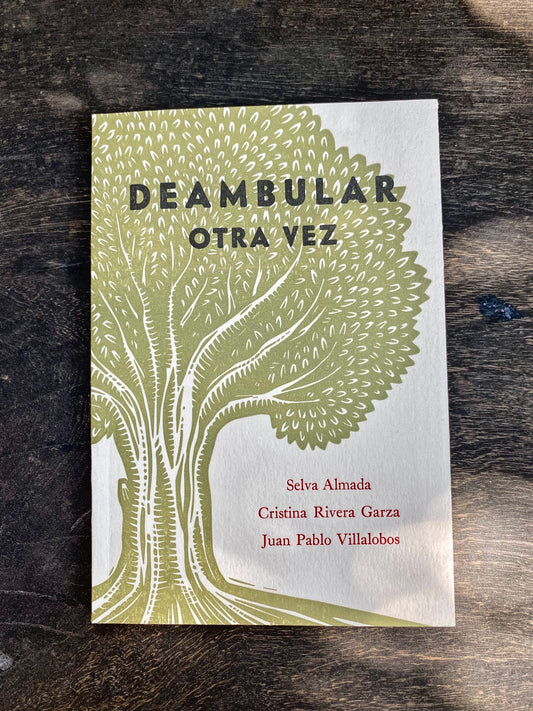 Deambular otra vez | Selva Almada, Cristina Rivera Garza y Juan Pablo Villalobos