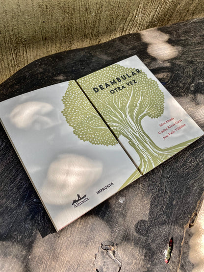 Deambular otra vez | Selva Almada, Cristina Rivera Garza y Juan Pablo Villalobos