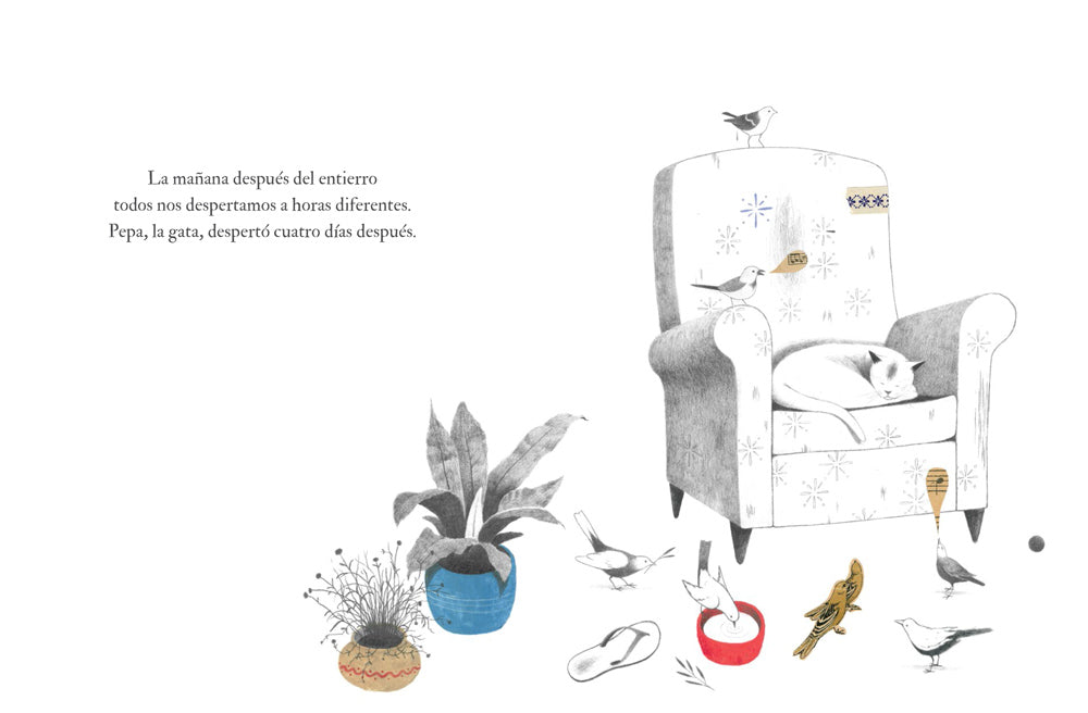El tiempo de mi casa | Samuel Castaño Mesa