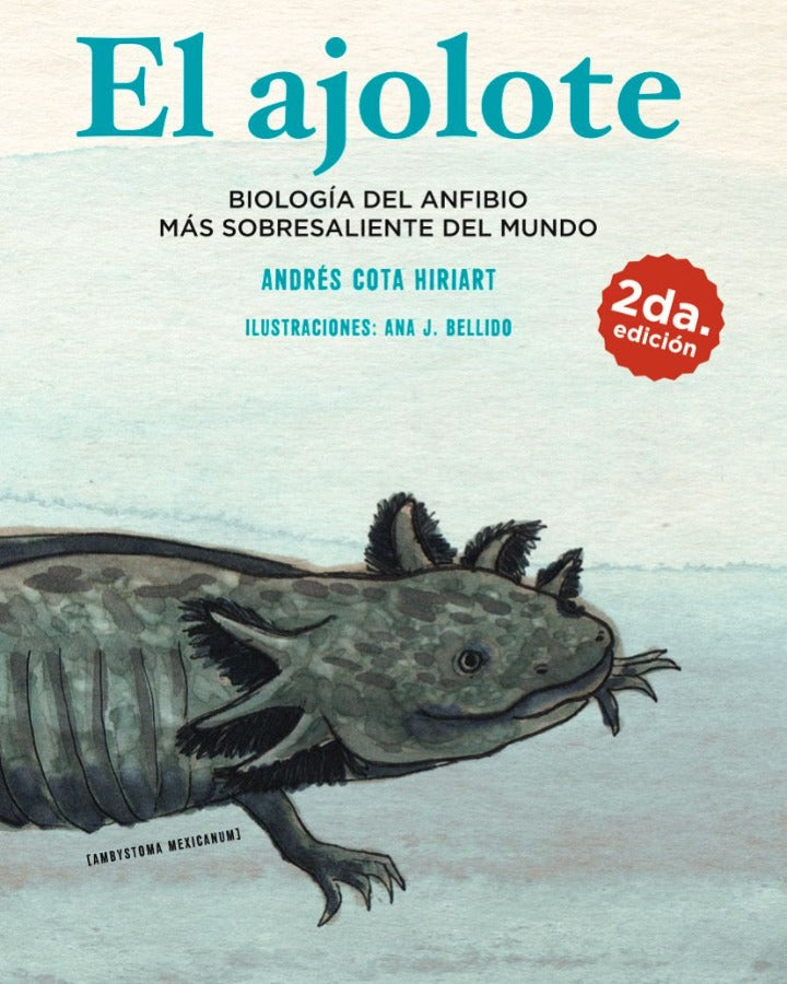 El ajolote. Biología del anfibio más sobresaliente del mundo | Andrés Cota