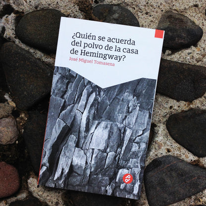 ¿Quién se acuerda del polvo de la casa de Hemingway? | José Miguel Tomasena