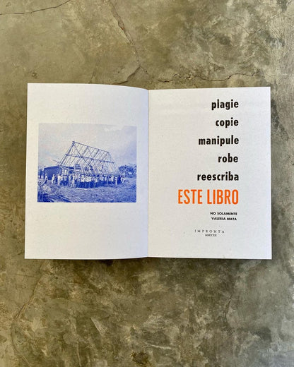 «plagie copie manipule robe reescriba este libro» | No solamente Valeria Mata