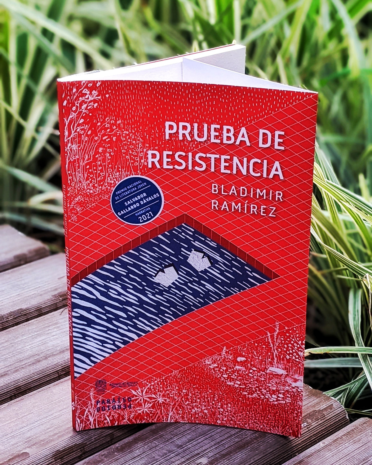 Prueba de resistencia | Bladimir Ramírez