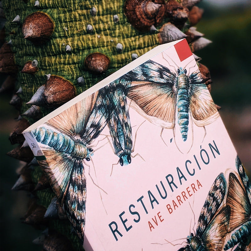Restauración | Ave Barrera