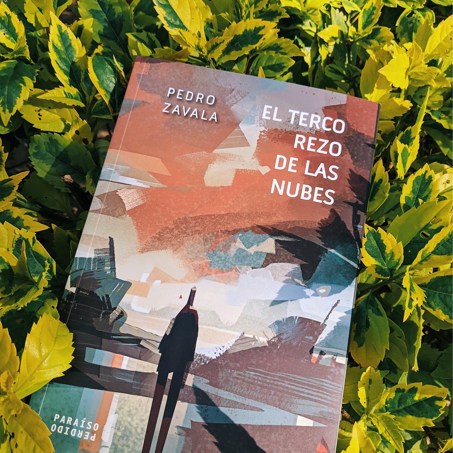 El terco rezo de las nubes | Pedro Zavala